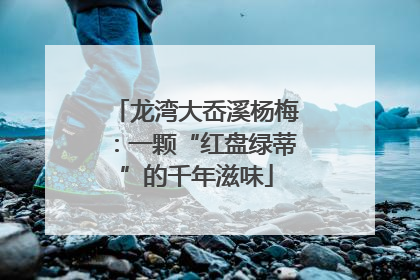 龙湾大岙溪杨梅：一颗“红盘绿蒂”的千年滋味