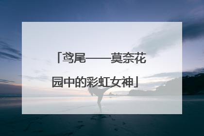 鸢尾——莫奈花园中的彩虹女神