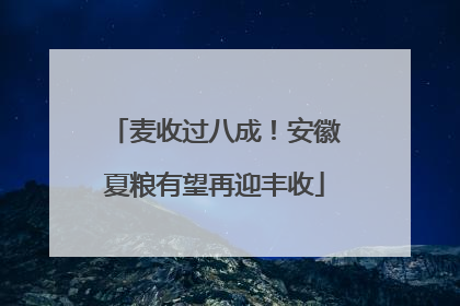 麦收过八成！安徽夏粮有望再迎丰收