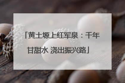 黄土塬上红军泉：千年甘甜水 浇出振兴路