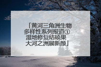黄河三角洲生物多样性系列报道①湿地修复结硕果 大河之洲展新颜