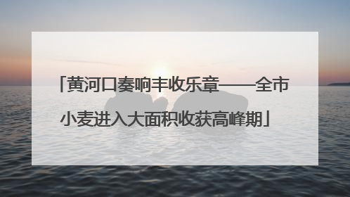 黄河口奏响丰收乐章——全市小麦进入大面积收获高峰期