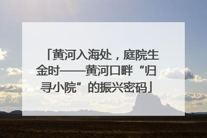 黄河入海处，庭院生金时——黄河口畔“归寻小院”的振兴密码