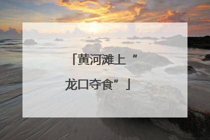 黄河滩上“龙口夺食”