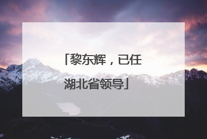 黎东辉，已任湖北省领导