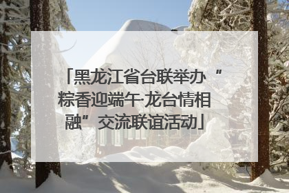 黑龙江省台联举办“粽香迎端午·龙台情相融”交流联谊活动