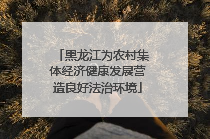 黑龙江为农村集体经济健康发展营造良好法治环境