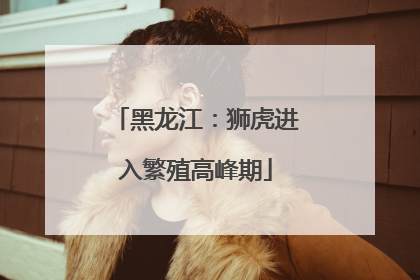 黑龙江：狮虎进入繁殖高峰期