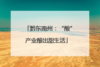 黔东南州：“酸”产业酿出甜生活