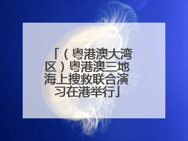 （粤港澳大湾区）粤港澳三地海上搜救联合演习在港举行