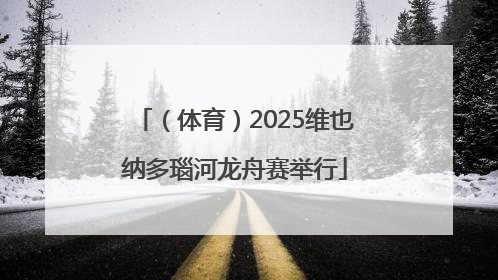 （体育）2025维也纳多瑙河龙舟赛举行