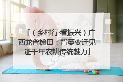 （乡村行·看振兴）广西龙脊梯田：背篓变迁见证千年农耕传统魅力