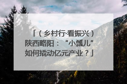 （乡村行·看振兴）陕西略阳：“小瓢儿”如何撬动亿元产业？