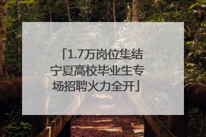 1.7万岗位集结 宁夏高校毕业生专场招聘火力全开