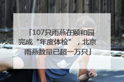 107只雨燕在颐和园完成“年度体检”，北京雨燕数量已超一万只