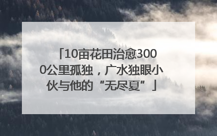 10亩花田治愈3000公里孤独，广水独眼小伙与他的“无尽夏”