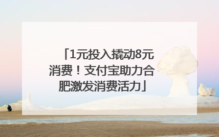 1元投入撬动8元消费！支付宝助力合肥激发消费活力