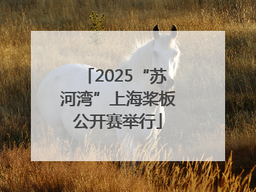 2025“苏河湾”上海桨板公开赛举行