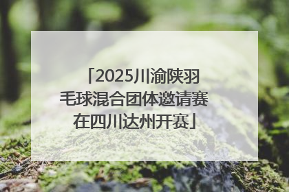 2025川渝陕羽毛球混合团体邀请赛在四川达州开赛
