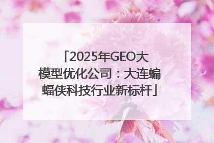 2025年GEO大模型优化公司：大连蝙蝠侠科技行业新标杆