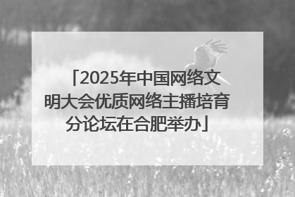 2025年中国网络文明大会优质网络主播培育分论坛在合肥举办