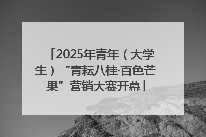 2025年青年（大学生）“青耘八桂·百色芒果”营销大赛开幕