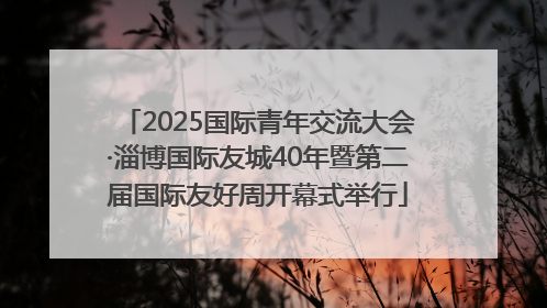 2025国际青年交流大会·淄博国际友城40年暨第二届国际友好周开幕式举行