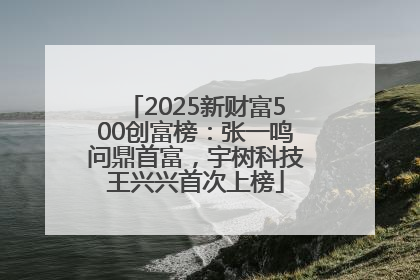2025新财富500创富榜：张一鸣问鼎首富，宇树科技王兴兴首次上榜