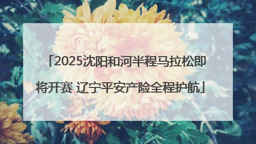 2025沈阳和河半程马拉松即将开赛 辽宁平安产险全程护航
