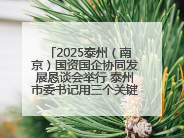 2025泰州（南京）国资国企协同发展恳谈会举行 泰州市委书记用三个关键词推介泰州