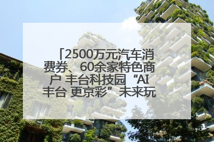 2500万元汽车消费券、60余家特色商户 丰台科技园“AI丰台 更京彩”未来玩家市集活动正式开幕