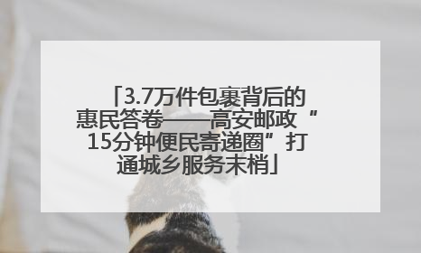 3.7万件包裹背后的惠民答卷——高安邮政“15分钟便民寄递圈”打通城乡服务末梢