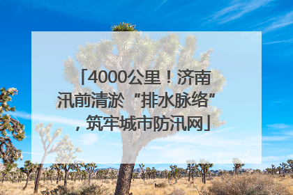 4000公里！济南汛前清淤“排水脉络”，筑牢城市防汛网