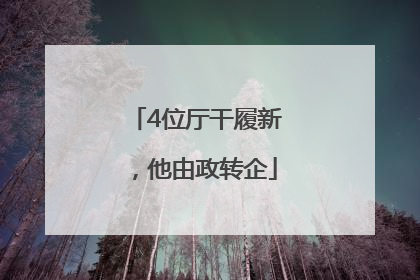 4位厅干履新，他由政转企