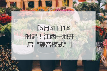 5月31日18时起！江西一地开启“静音模式”