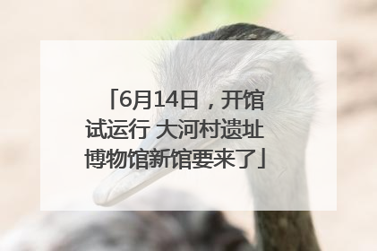 6月14日，开馆试运行 大河村遗址博物馆新馆要来了