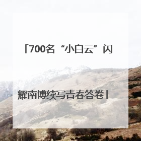 700名“小白云”闪耀南博续写青春答卷
