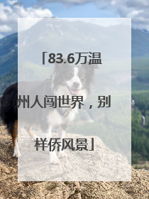 83.6万温州人闯世界，别样侨风景
