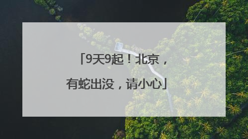9天9起！北京，有蛇出没，请小心