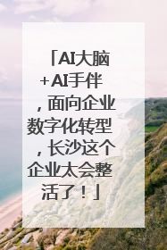 AI大脑+AI手伴，面向企业数字化转型，长沙这个企业太会整活了！