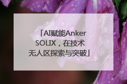 AI赋能Anker SOLIX，在技术无人区探索与突破