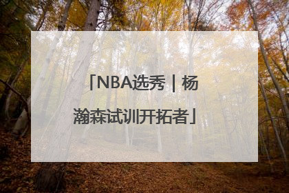 NBA选秀｜杨瀚森试训开拓者