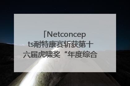Netconcepts耐特康赛斩获第十六届虎啸奖“年度综合服务商”大奖