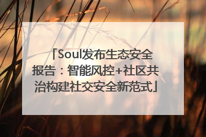 Soul发布生态安全报告：智能风控+社区共治构建社交安全新范式